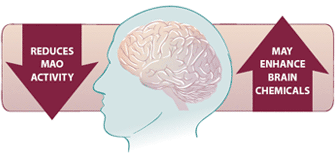 www.criticalthinkrx.org mao inhibitors can completely suppress REM sleep and reported dreams throughout the period of treatment. wyatt et al, arch gen psychiatry, feb 1971